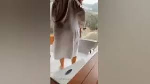 fabricia freitas sweetgirl 17 Videos - EroThots