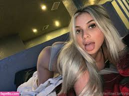 chewbacca_cc / willowclarkvip Nude Leaked OnlyFans Photo #6 - Fapello