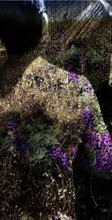 April showers, [M]ay flowers - EroThots